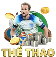 Đá gà ok8